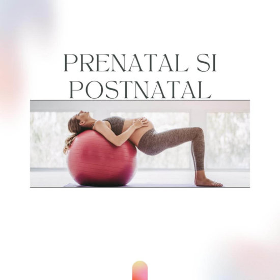 yoga pilates prenatal postanatal